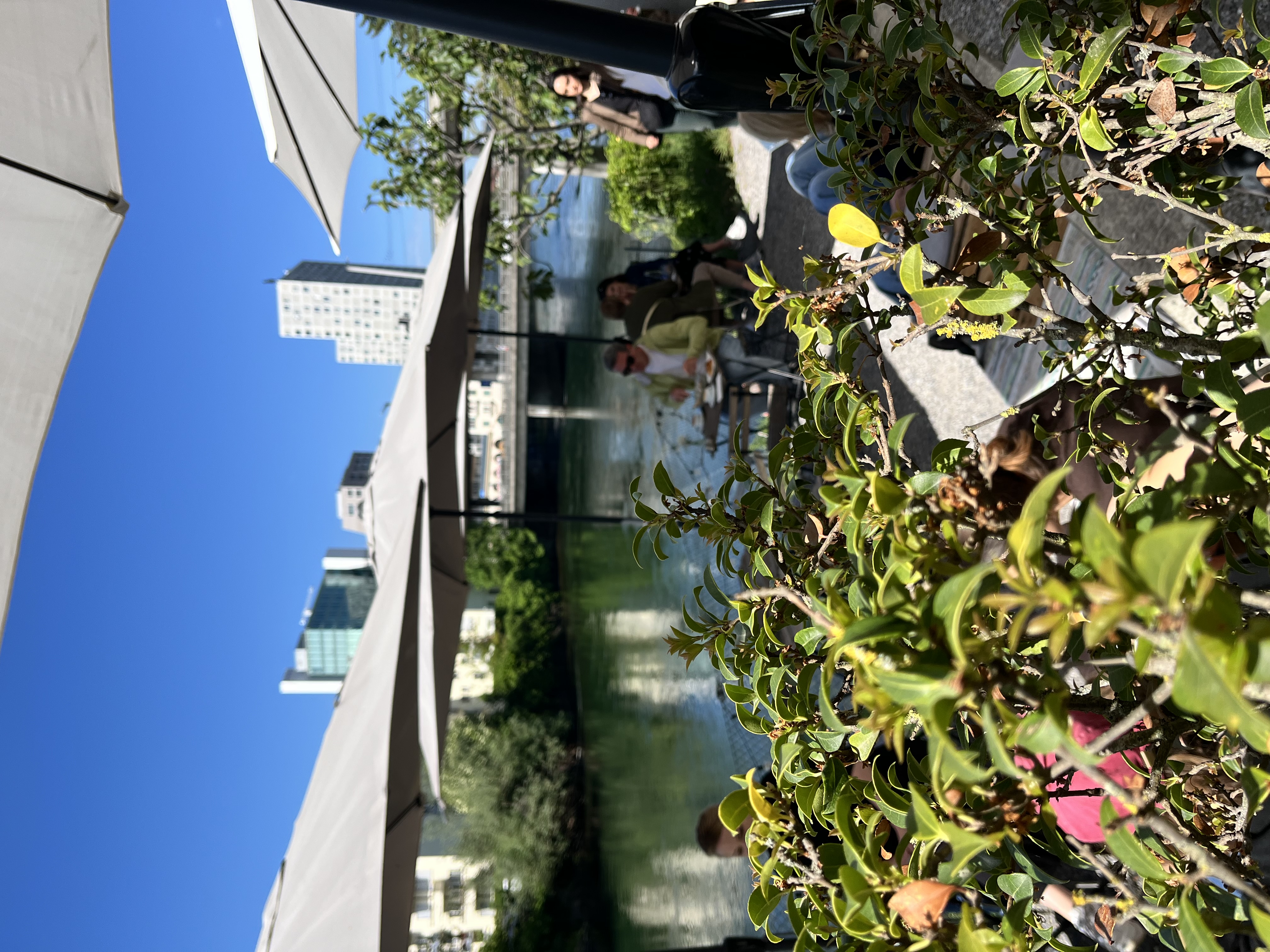 WIM am Wasser – Live